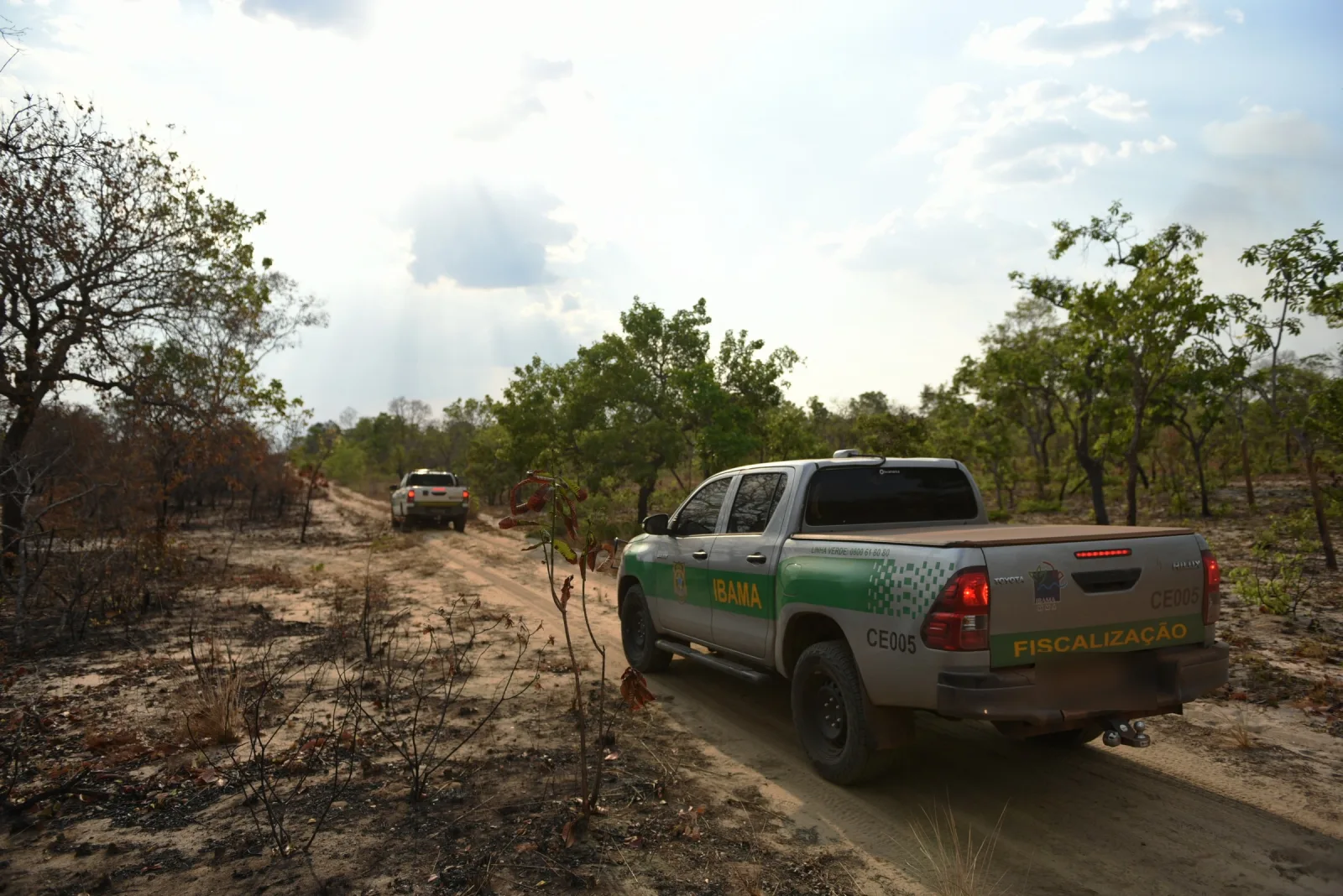 Picapes Hilux do Ibama em estrada de terra no Maranhão, em 2017: no Norte e no Centro-Oeste, a picape entra no pódio da frota
