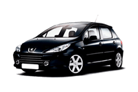 Miniatura do Peugeot 307