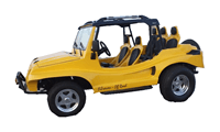 Fibravan Buggy Off Road 1.6 8V 2025