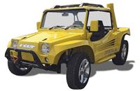 Fyber Buggy