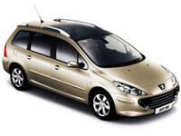 Miniatura do Peugeot 307 SW