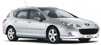 Miniatura do Peugeot 407 SW